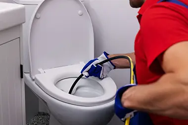 Alderwood Clogged Drain Repair