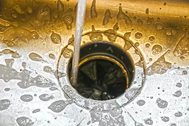 Alderwood New Garbage Disposal