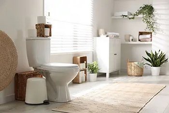 Alderwood New Toilet Installation