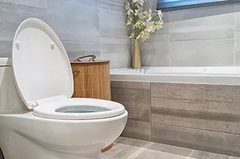Alderwood Toilet Install