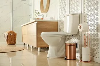 Alderwood Toilet Replacement
