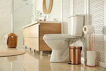 Snohomish County New Toilet Installation